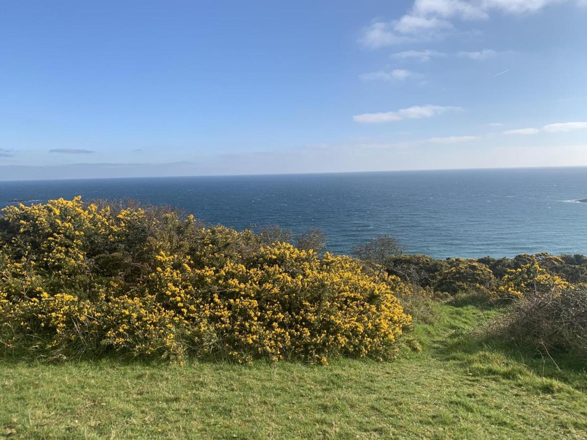 Mevagissey - Sea View And Parking Holiday home St Austell